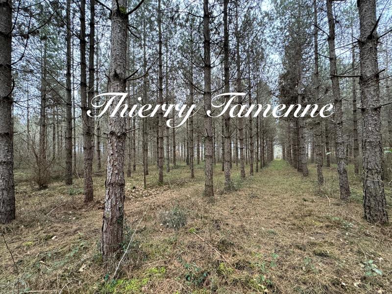 Terrain - 33 570 m²