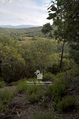 Terrain - 106 625 m²