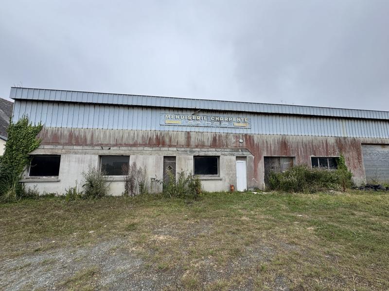 Local d'activités - 600 m²