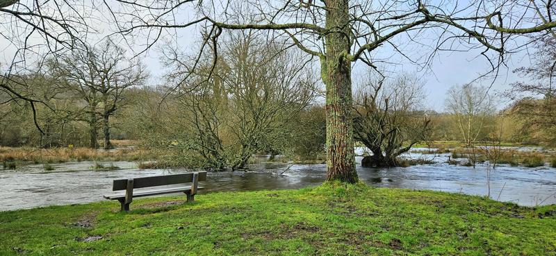 Maison - 101 m² - 5 pièces