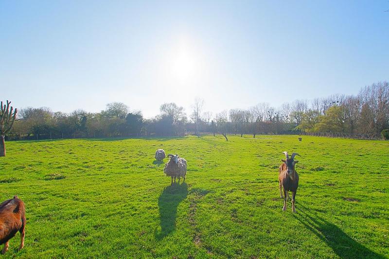 Maison - 220 m² - 8 pièces