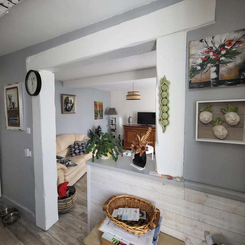 Viager - Maison ancienne - 51 m² - 3 pièces