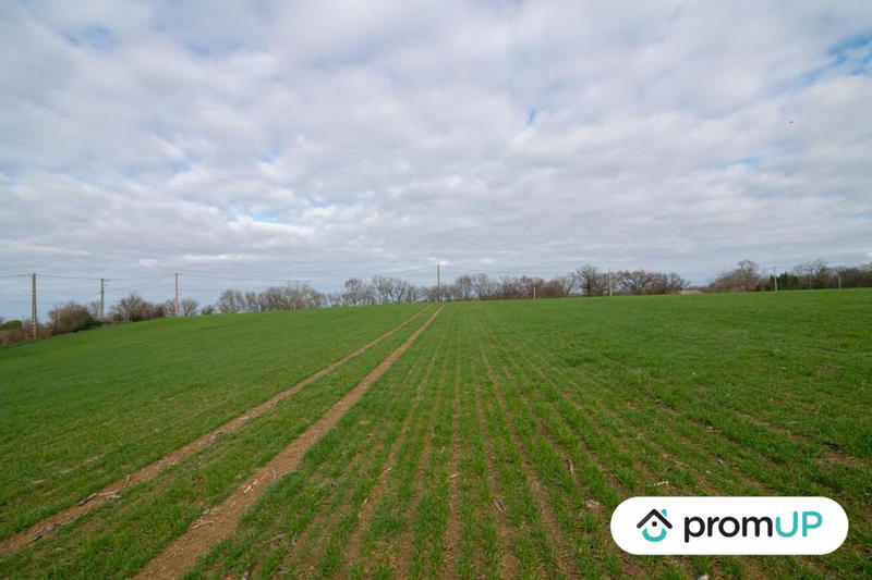 Terrain agricole - 6 000 m²