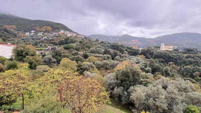 Duplex - 86 m² - 3 pièces