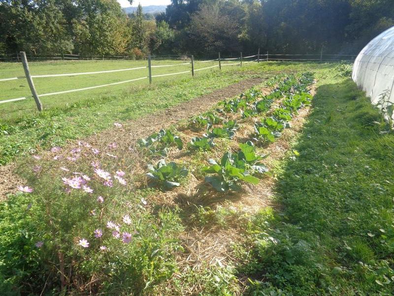 De ferme en ferme : les Jardins du Bergons
