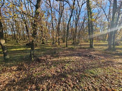 Maison traditionnelle - 117 m² - 4 pièces