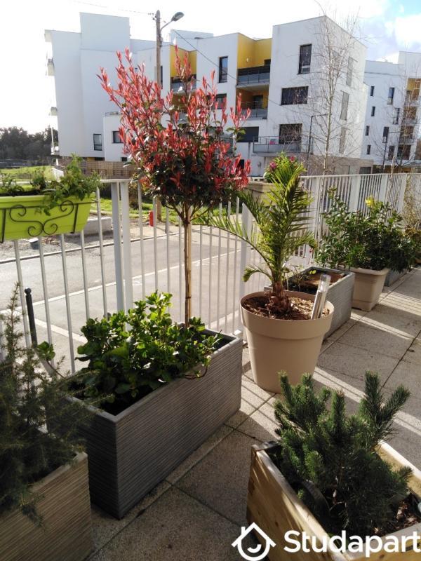 Chambre - 11 m² - 1 pièce