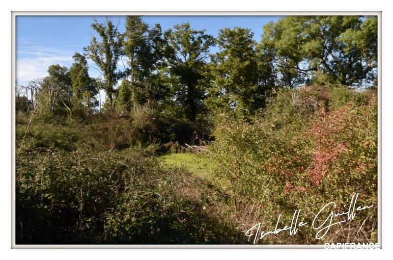 Longère - 170 m² - 6 pièces