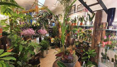 Fonds de commerce - Magasins - 39 m²