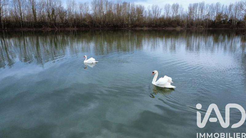 Terrain - 125 000 m²