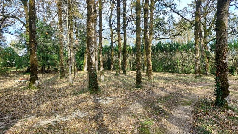 Terrain constructible - 1 090 m²