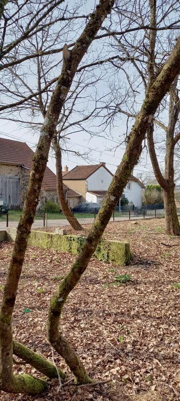 Maison - 40 m² - 2 pièces