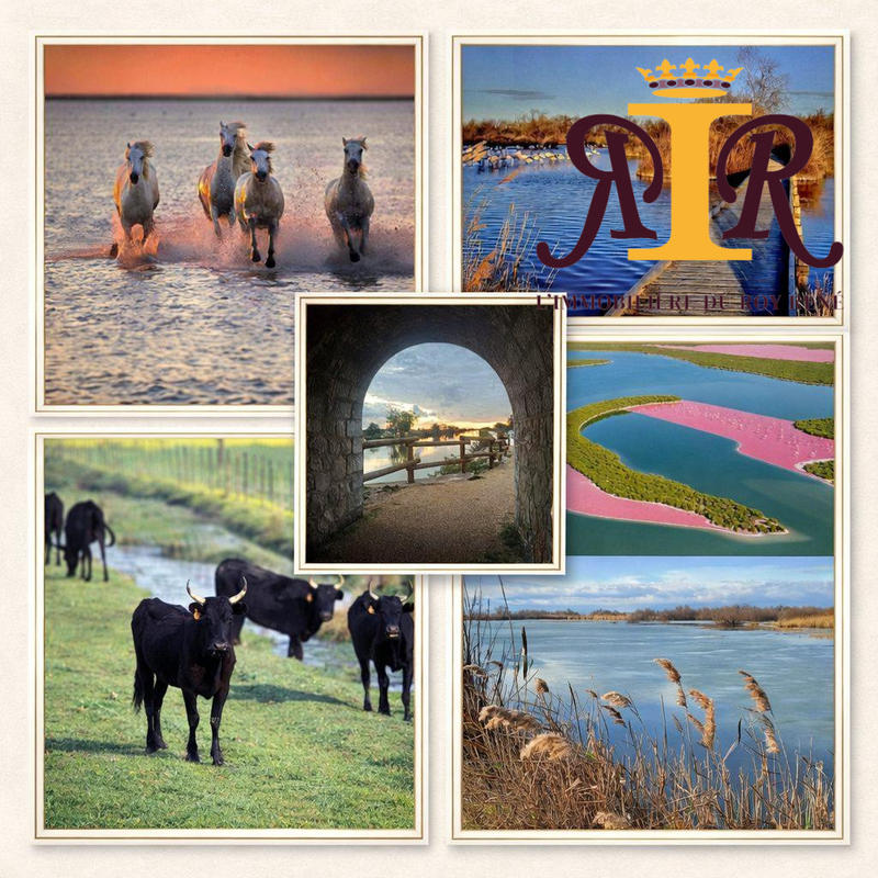 Maison traditionnelle - 288 m² - 9 pièces