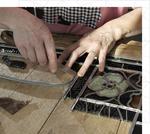 Virginie Berthier Vitraux