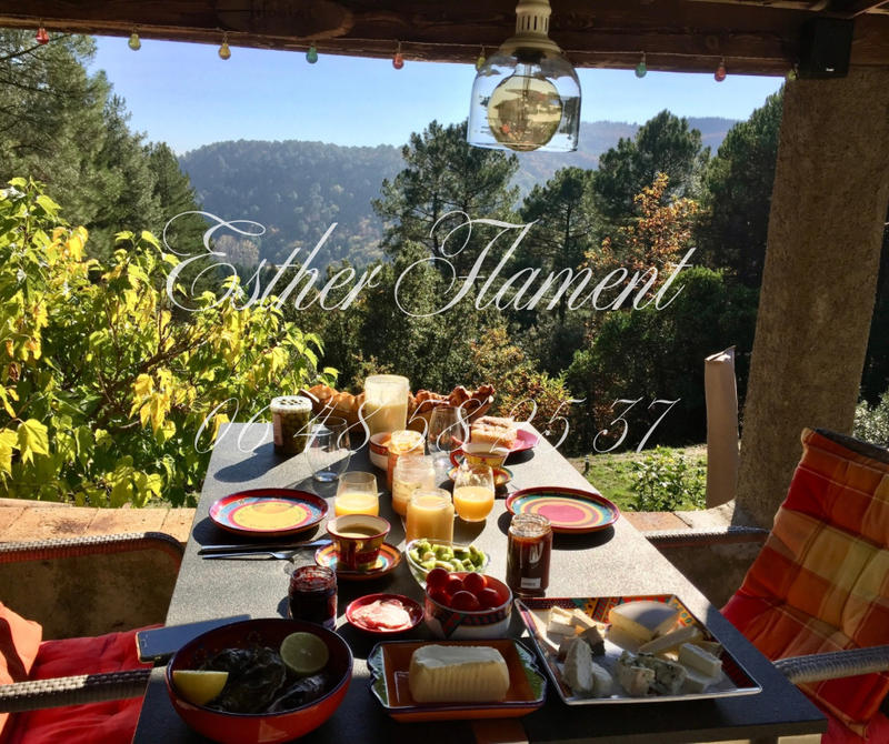 Propriété - 32 m² - 2 pièces