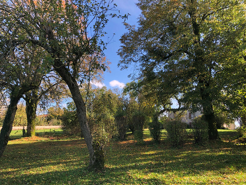 Maison - 236 m² - 8 pièces