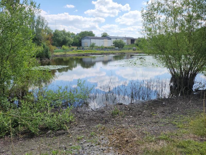 Maison - 300 m² - 5 pièces