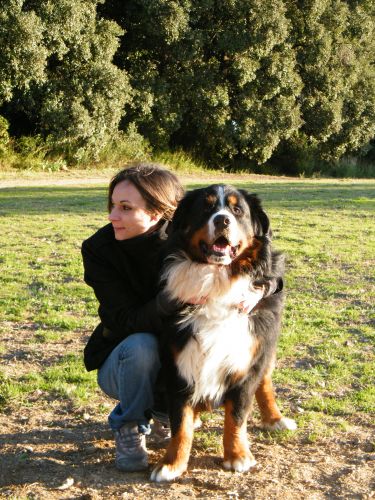 Anigarde services animaliers