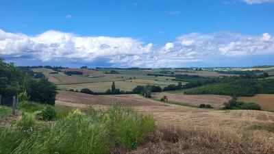 Terrain - 200 000 m²