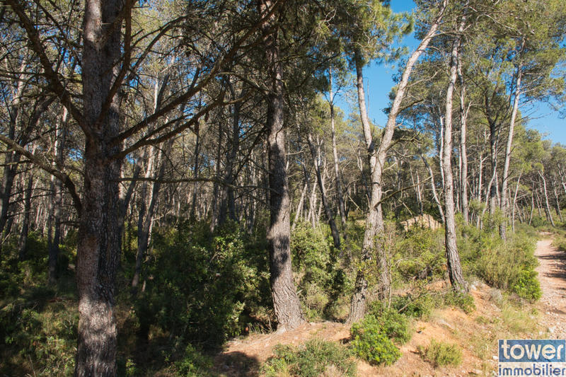 Terrain de loisirs - 42 302 m²