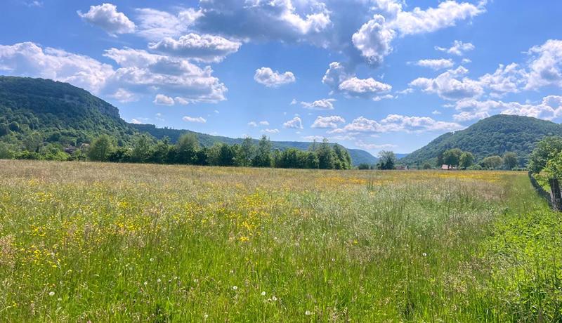 Terrain constructible - 1 301 m²