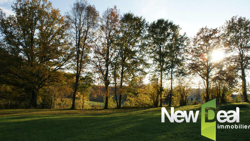 Terrain constructible - 3 169 m²