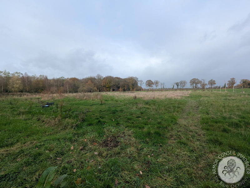 Maison - 169 m² - 8 pièces