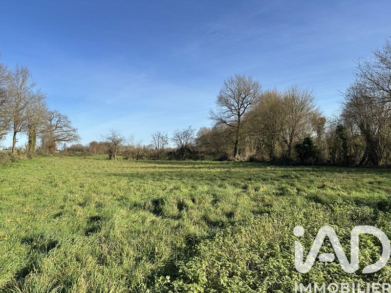 Maison - 90 m² - 3 pièces