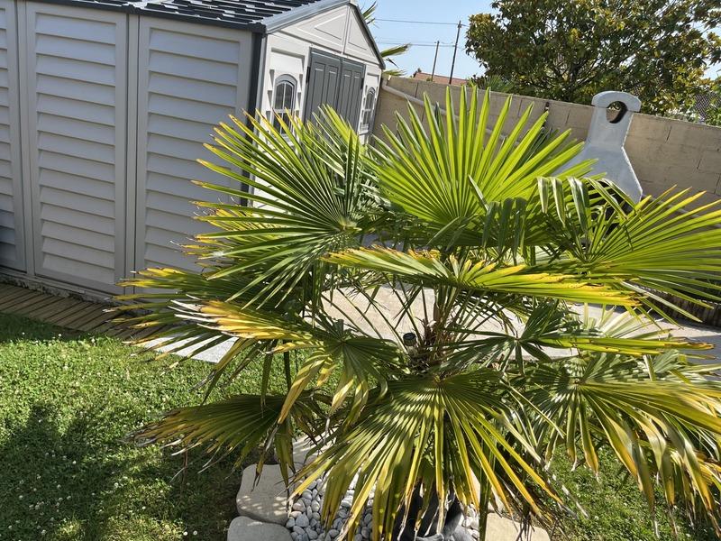 Maison - 86 m² - 5 pièces