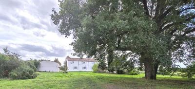 Maison - 175 m² - 6 pièces