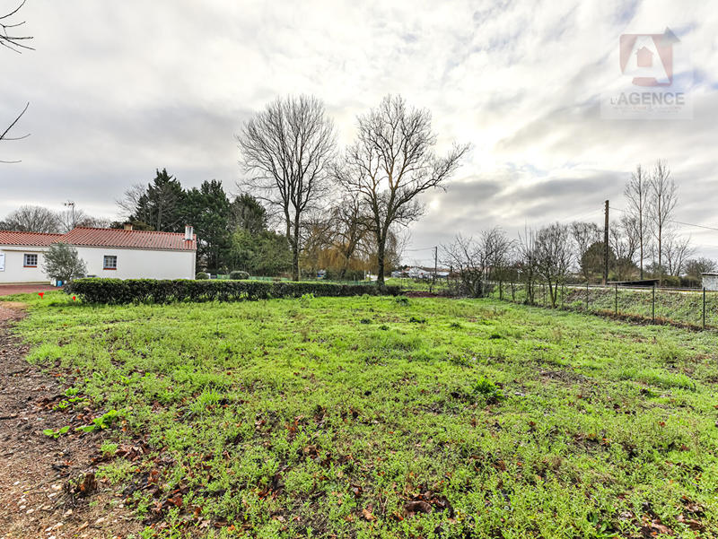 Terrain - 779 m²