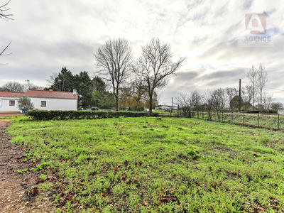 Terrain - 779 m²