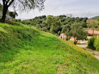 Terrain constructible - 1 261 m²
