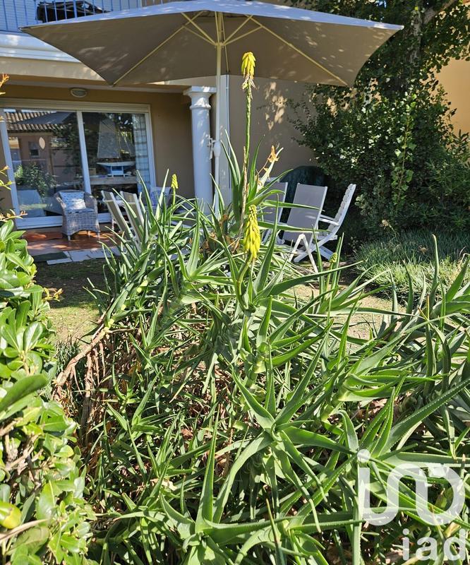 Appartement - 34 m² - 2 pièces