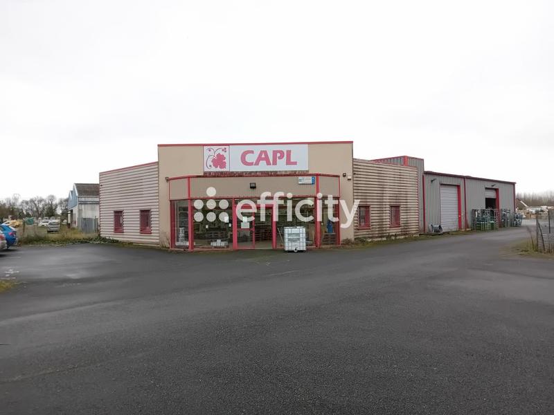 Local commercial - 900 m²