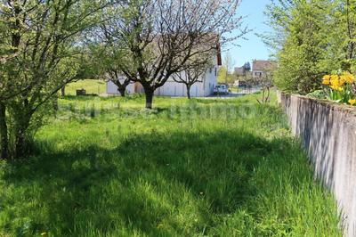Terrain constructible - 1 000 m²
