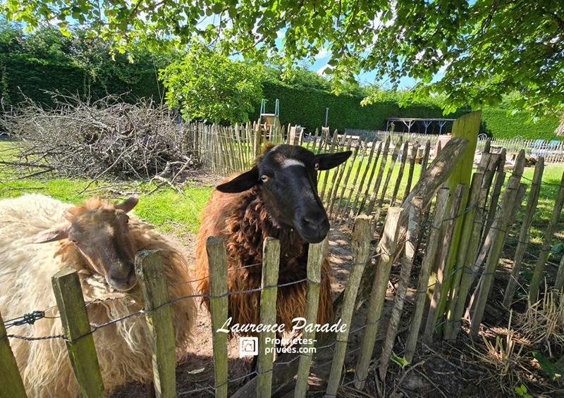 Maison - 590 m² - 19 pièces