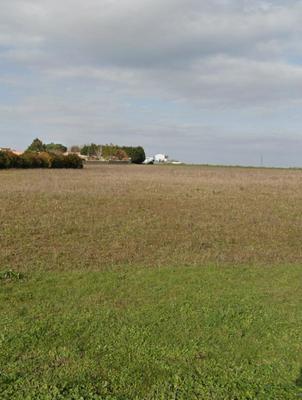 Terrain constructible - 333 m²