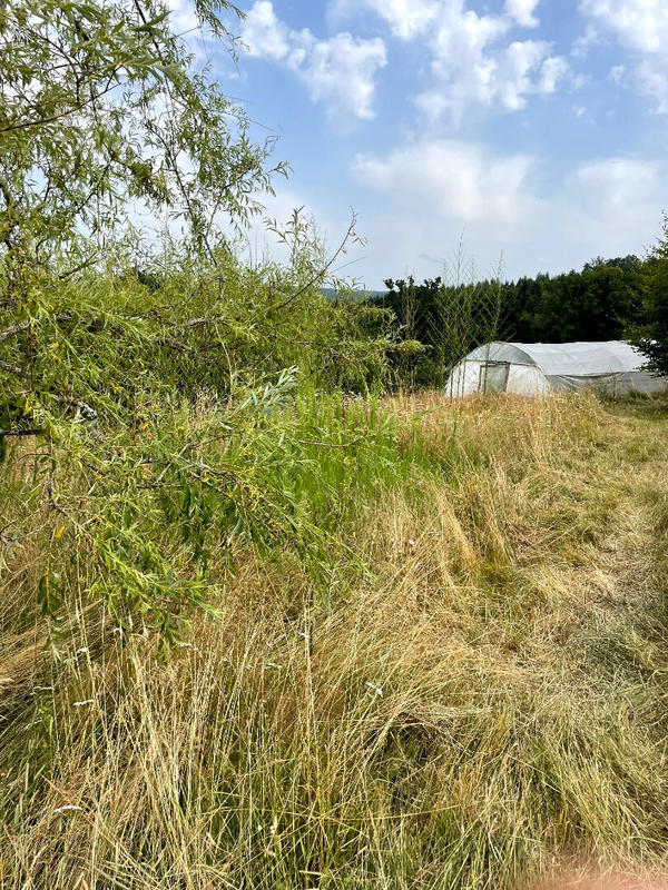 Maison - 94 m² - 3 pièces