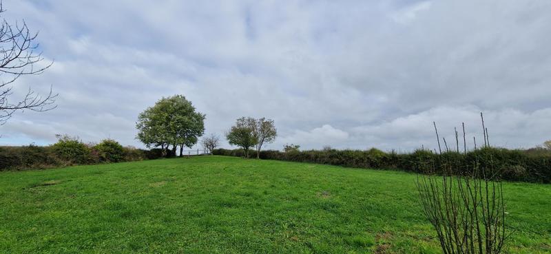 Maison - 230 m² - 6 pièces