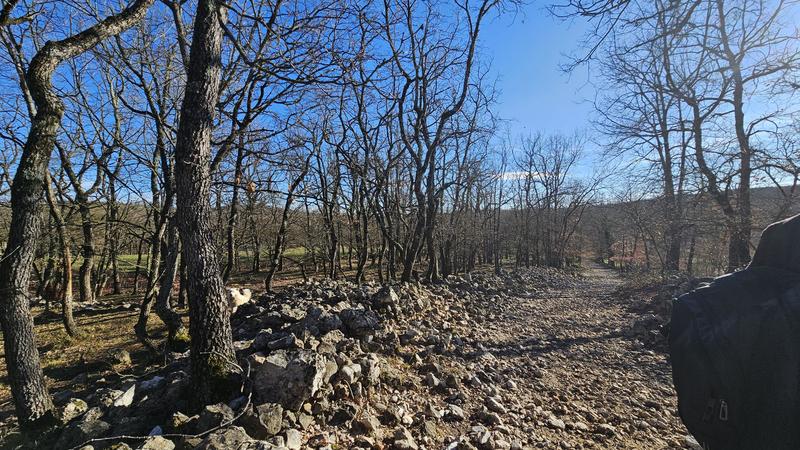 Terrain - 24 790 m²