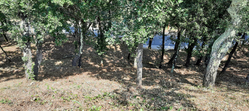 Maison - 106 m² - 4 pièces