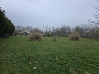 Maison contemporaine - 320 m² - 11 pièces