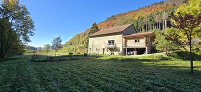 Ferme - 209 m² - 9 pièces