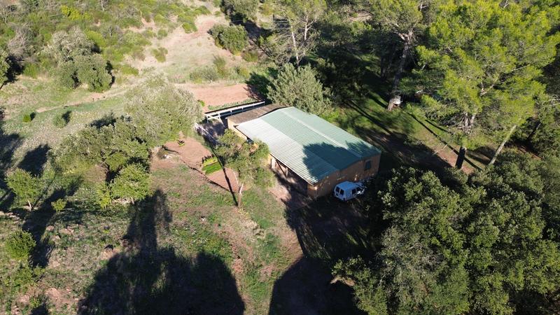 Mas - 175 m² - 6 pièces