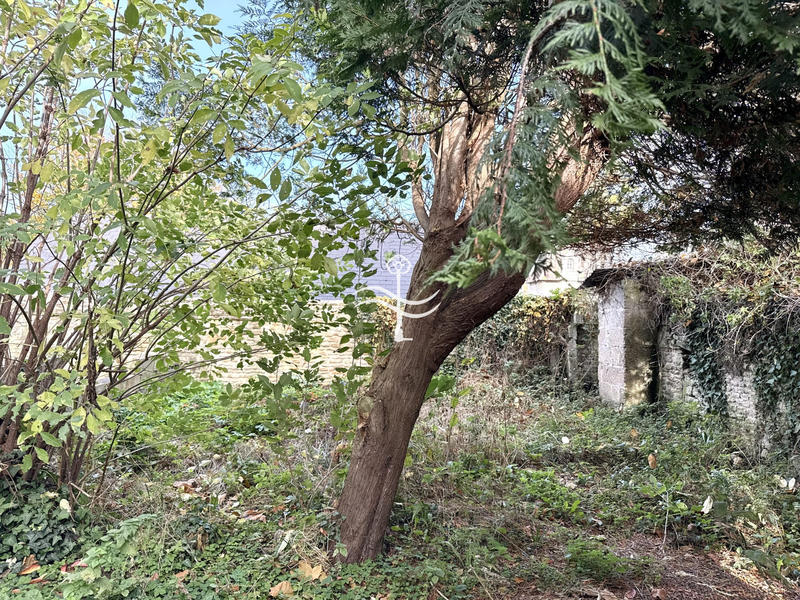 Maison ancienne - 65 m² - 4 pièces