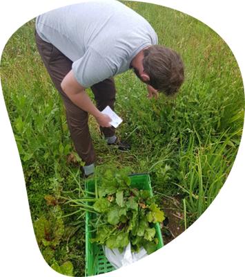 Restaurant l'Art Local