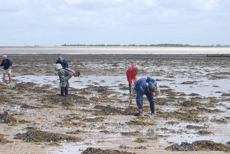 Initiation pêche aux praires