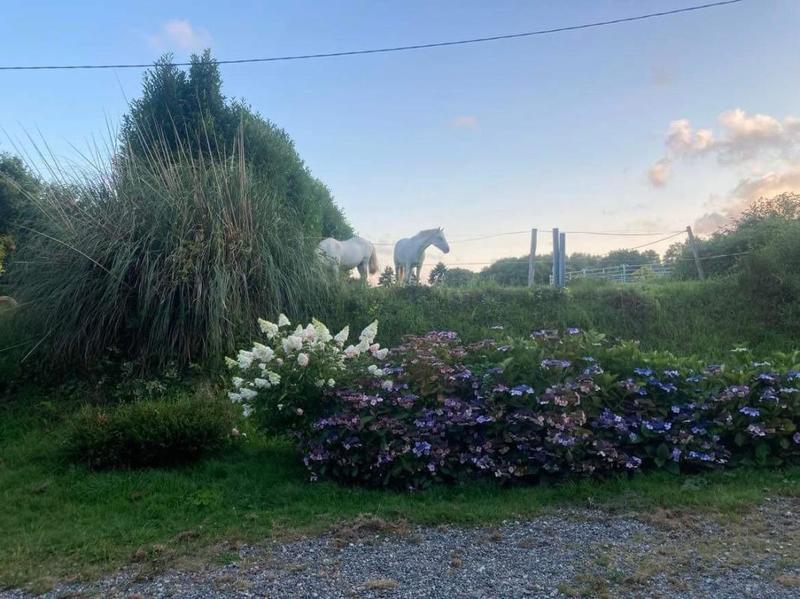 Maison en pierre - 116 m² - 7 pièces