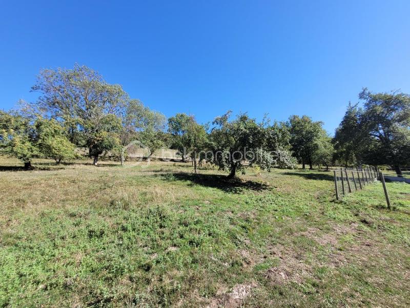 Propriété - 141 m² - 5 pièces